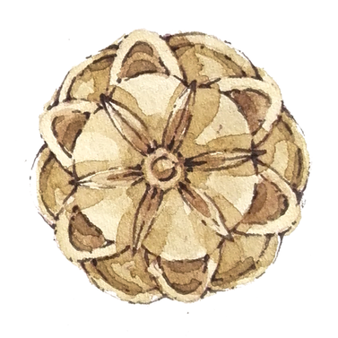 Ruptura dintre ortodocși și catolici/papistași vindecată temporar de Sf. Fotie