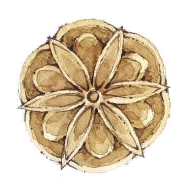 Întreruperea pomenirii, între dreapta credință, viața curată și răzvrătire