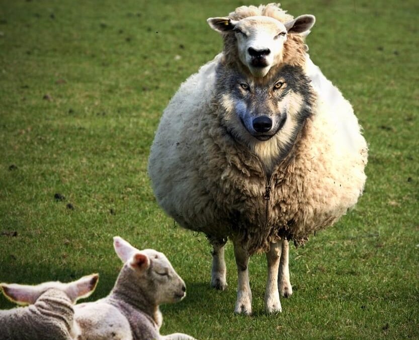 Trăsăturile ereziei necondamnate din canonul 15 I-II