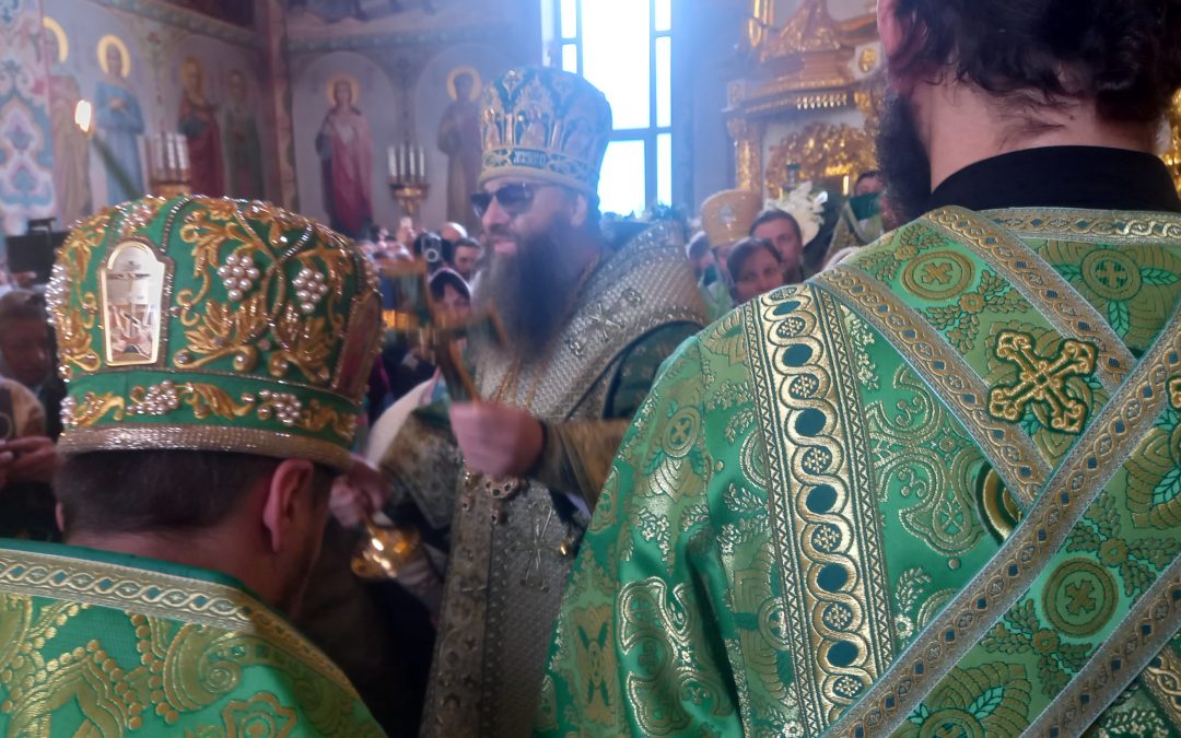 Este adevărat că vânătăile de pe față ale vlădicăi Longhin sunt în urma unei lovituri