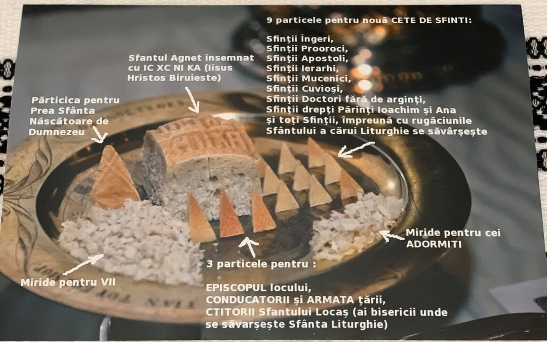 Întreruperea pomenirii este o reacție imunitară, nu o separare deplină de episcop